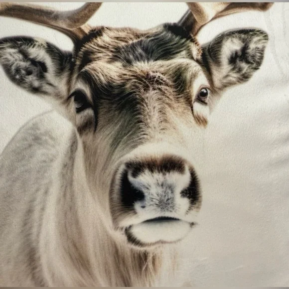 World Traveler Collection NWT Stunning Cream & Browns Velour 16” x 16” Pillow - Picture 4 of 8